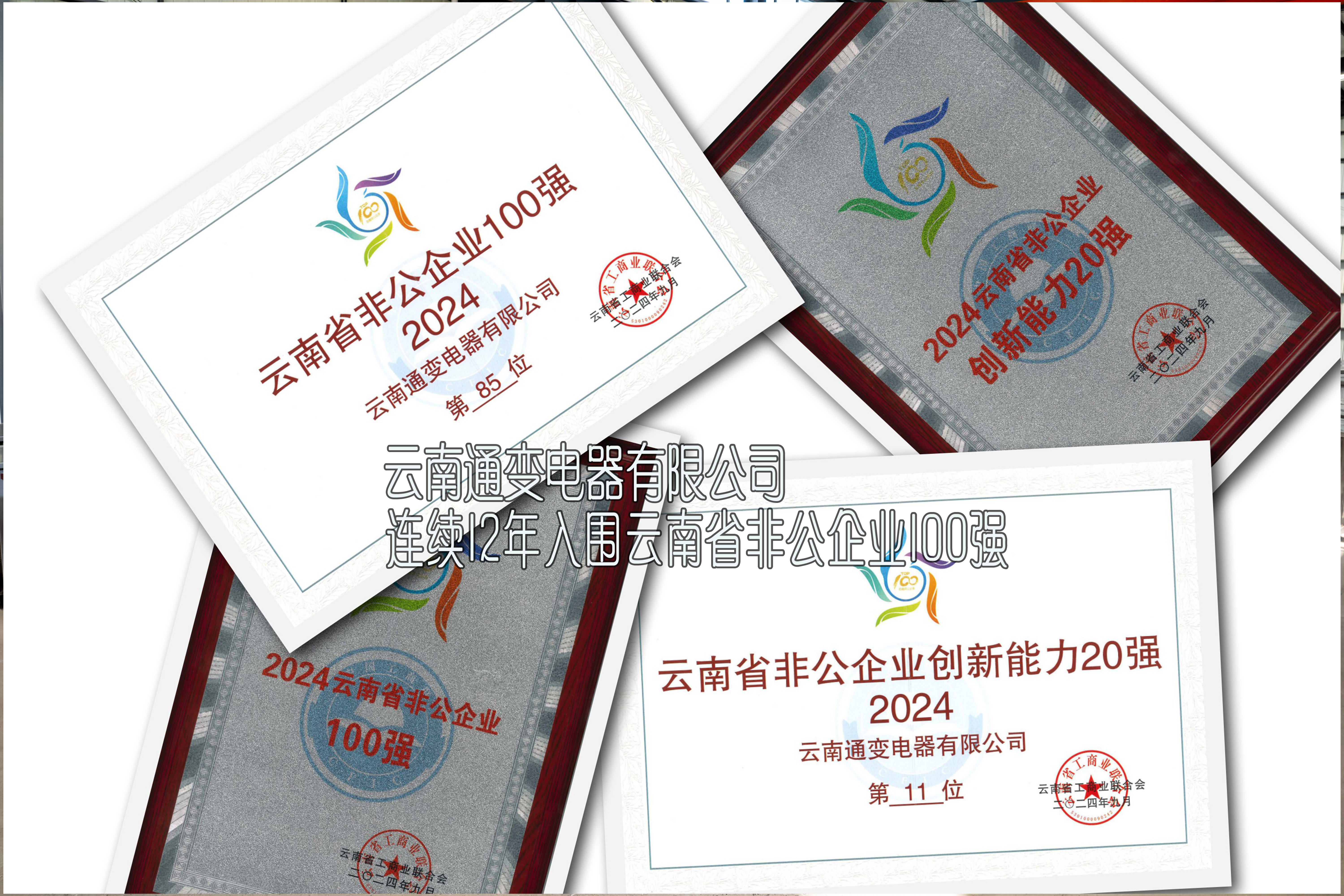 云南通變電器有限公司連續(xù)12年入圍“云南省非公企業100強”